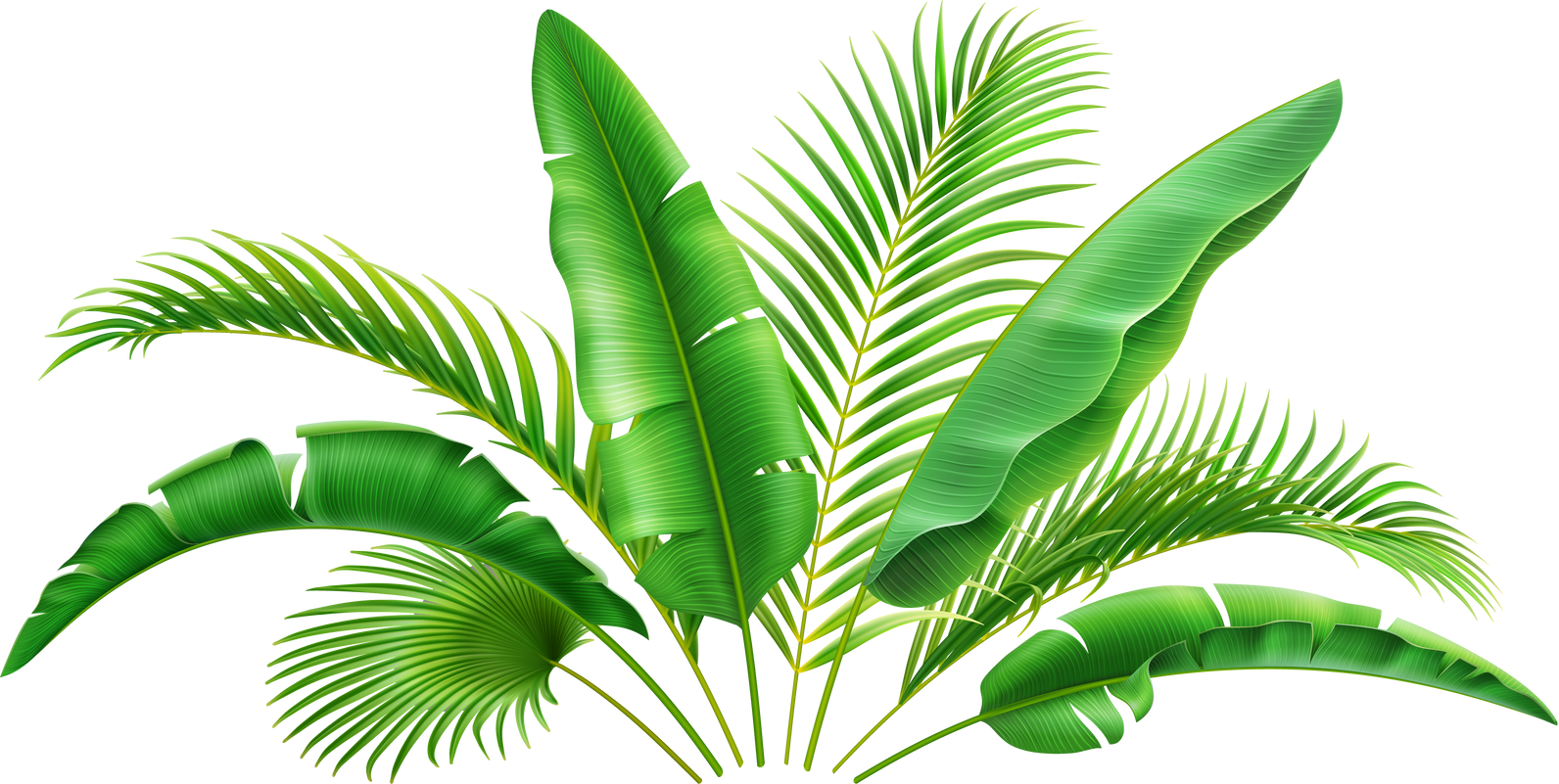 3D realistic bush of green tropical palm leaves